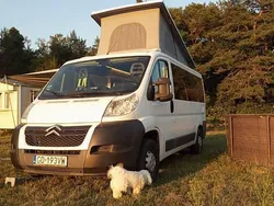 Używany 2013 Citroën Jumper Minivan | 75 000 zł