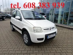 Biały Używany 2011 Fiat Panda Hatchback | 19 900 zł (Drogi)