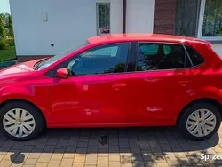 Używany 2010 VW Polo | 17 900 zł (Dość drogi)