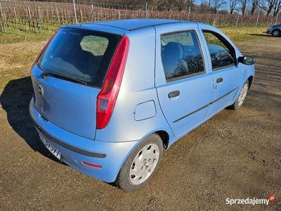 używany Fiat Punto 