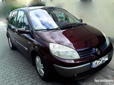 Wiśniowy Używany 2004 Renault Scénic II Minivan | 6000 zł (Uczciwa cena)