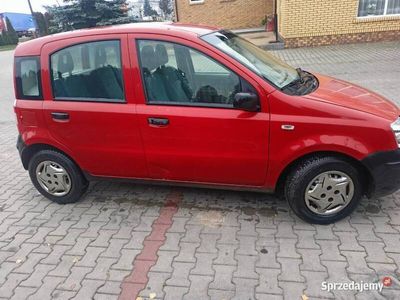 używany Fiat Panda 