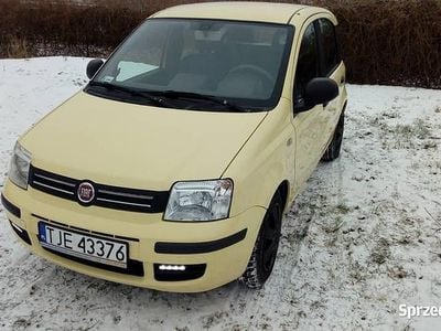 Używany 2011 Fiat Panda | 8000 zł (Uczciwa cena)