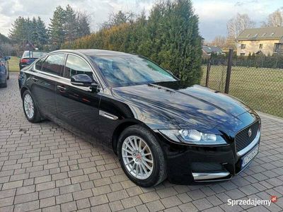 używany Jaguar XF / X260 niski przebieg