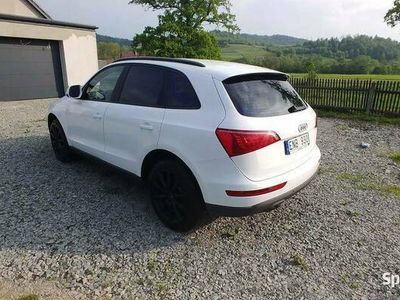 używany Audi Q5