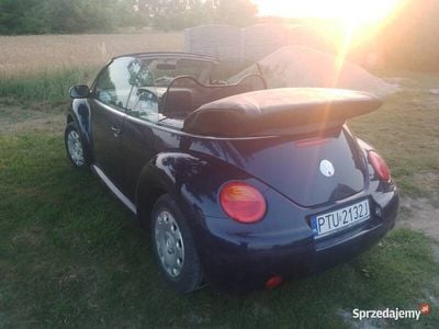 VW Beetle