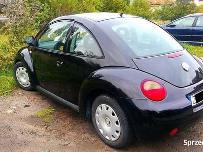 VW Beetle