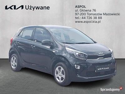 Czarny Używany 2024 Kia Picanto Hatchback | 54 900 zł (Drogi)