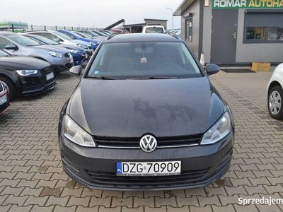 VW Golf VII