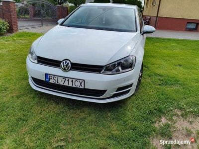 Używany 2016 VW Golf VII | 41 600 zł (Dość drogi)
