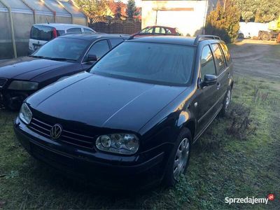 używany VW Golf IV golf IV