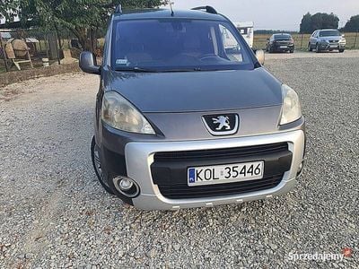 Zielony Używany 2009 Peugeot Partner Minivan | 18 800 zł (Drogi)
