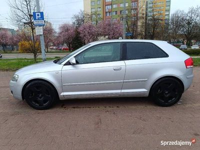 używany Audi A3 8P 1.6KM 102KM