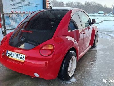 VW Beetle