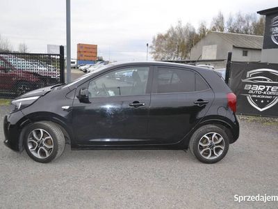 używany Kia Picanto