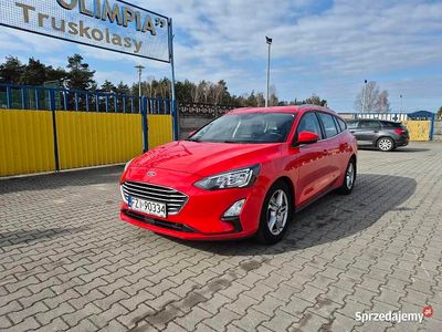 Używany Ford Focus 2020 Czerwony Kombi