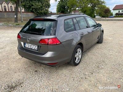 VW Golf VII