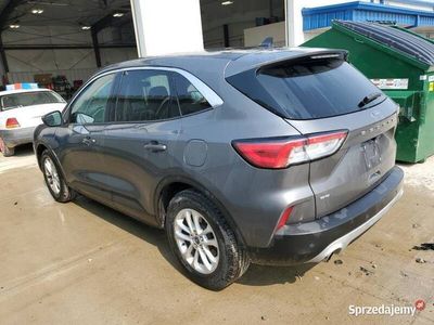 Używany Ford Escape SE 2021 SUV