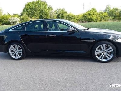 Czarny Używany 2013 Jaguar XJ Sedan/Limuzyna | 67 900 zł