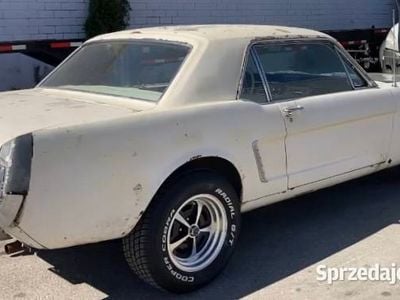 Używany 1965 Ford Mustang | 54 900 zł