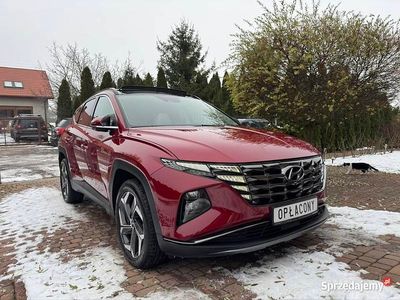 Bordowy Używany 2021 Hyundai Tucson SUV | 102 900 zł (Drogi)