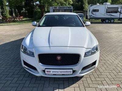 Biały (metalik) Używany 2017 Jaguar XF Sedan/Limuzyna | 79 000 zł