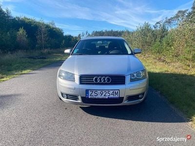 Srebrny Używany 2003 Audi A3 Hatchback | 8599 zł (Uczciwa cena)