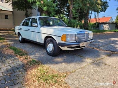 Używany 1982 Mercedes 300 | 65 000 zł