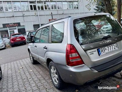 Używany Subaru Forester 2003 SUV