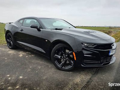 używany Chevrolet Camaro 