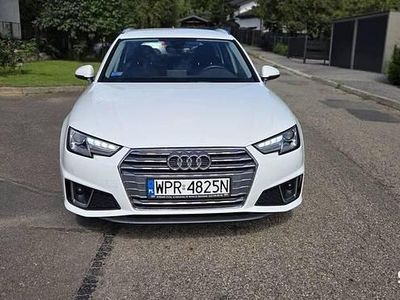 używany Audi A4 2019 rok krajowy