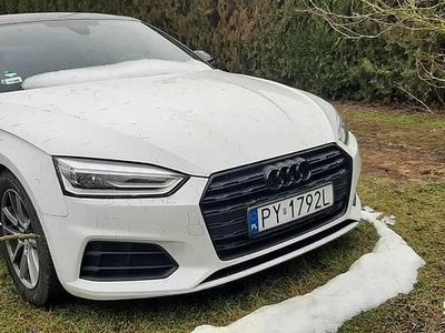 Używany 2019 Audi A5 | 120 000 zł