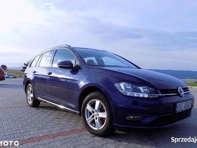 Używany 2017 VW Golf VII | 43 000 zł (Uczciwa cena)