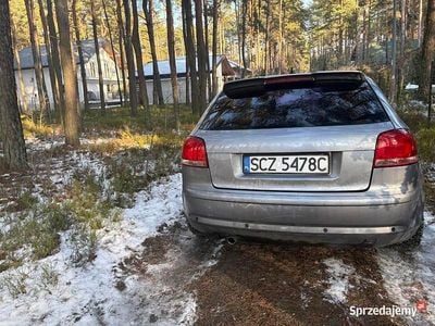 Używany Audi A3 Sport 240 KM (176 kW) 2004 Hatchback