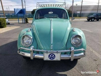 używany VW Beetle 1963