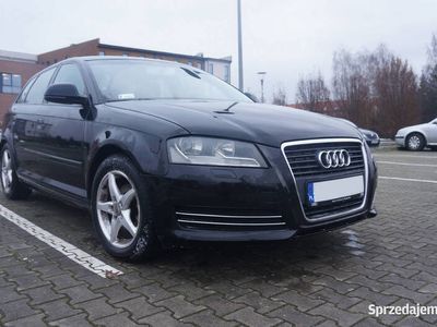 używany Audi A3 8p polift 1.9 tdi