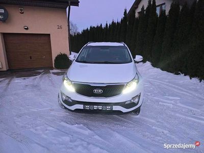 Używany Kia Sportage Vision 2015 Biały SUV