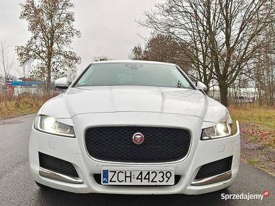 Biały Używany 2017 Jaguar XF Sedan/Limuzyna | 24 900 zł