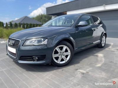 Używany 2008 Audi A3 | 19 900 zł (Uczciwa cena)