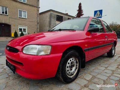 używany Ford Escort 