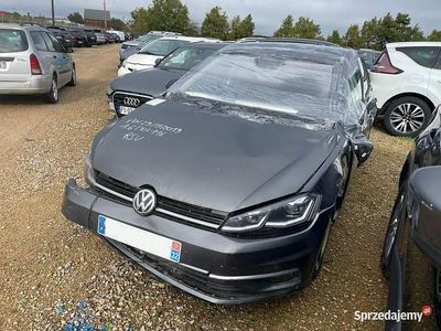 Szary Używany 2019 VW Golf VII IQ Drive Hatchback | 35 200 zł