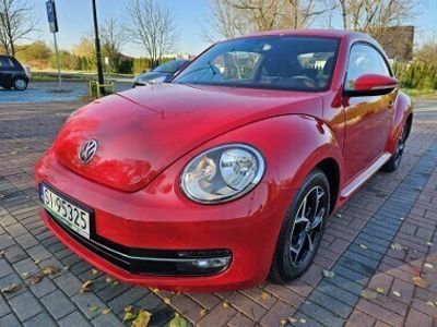 VW Beetle
