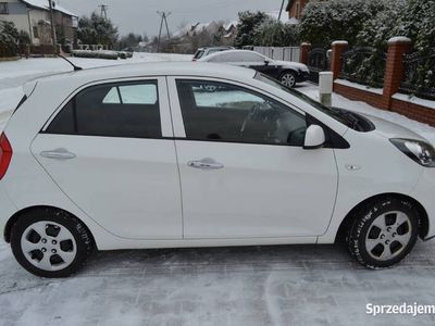 używany Kia Picanto 1.0 Benzyna + Lpg 2014 rok