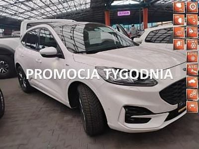 Biały Używany 2022 Ford Kuga SUV | 94 000 zł (Drogi)