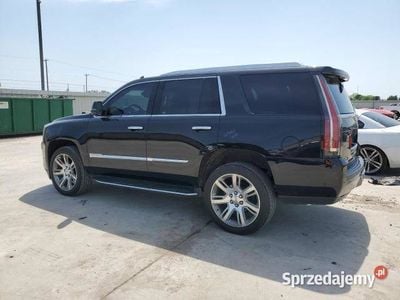Używany 2019 Cadillac Escalade SUV | 70 000 zł