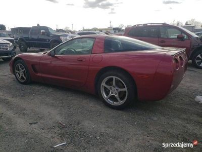 Używany 2001 Chevrolet Corvette LS | 59 900 zł