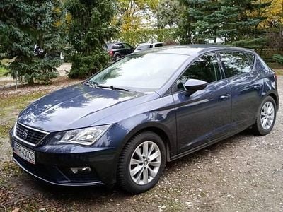Szary Używany 2019 Seat Leon Hatchback | 59 500 zł