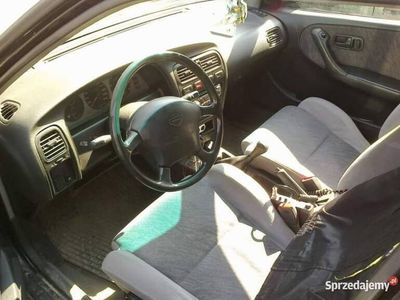 Używany 1995 Nissan Primera | 1800 zł