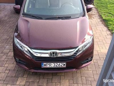 Bordowy Używany 2018 Honda Odyssey Minivan | 94 000 zł (Dość drogi)