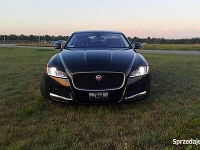 Czarny Używany 2018 Jaguar XF Sedan/Limuzyna | 59 999 zł (Uczciwa cena)